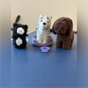 Purple Pet Bowl for Small Pets